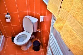 Гостевой дом Vila Alba Брашов Двухместный номер с 1 кроватью или 2 отдельными кроватями, вид на город-2