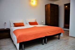 Гостевой дом Vila Alba Брашов Двухместный номер с 1 кроватью или 2 отдельными кроватями, вид на город-3