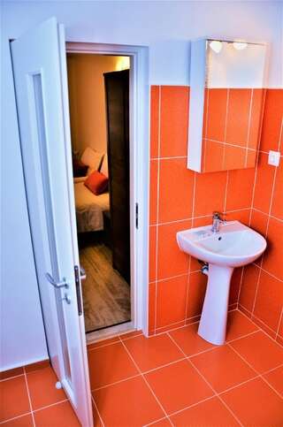 Гостевой дом Vila Alba Брашов Двухместный номер с 1 кроватью или 2 отдельными кроватями, вид на город-7