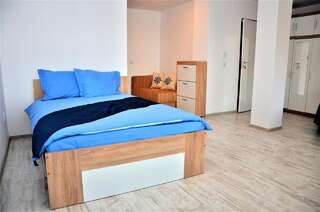 Гостевой дом Vila Alba Брашов Семейный номер-студио-4