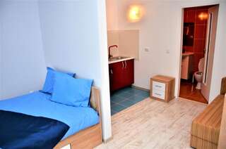 Гостевой дом Vila Alba Брашов Семейный номер-студио-6