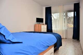 Гостевой дом Vila Alba Брашов Двухместный номер с 1 кроватью и балконом-4