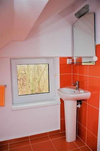 Гостевой дом Vila Alba Брашов Двухместный номер с 1 кроватью-2