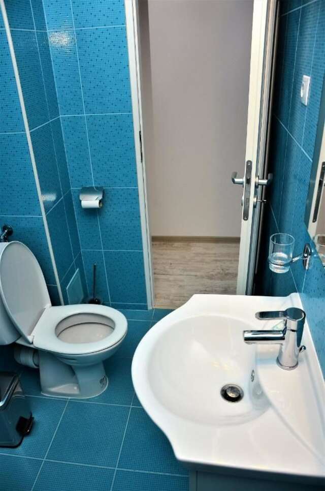 Гостевой дом Vila Alba Брашов-18