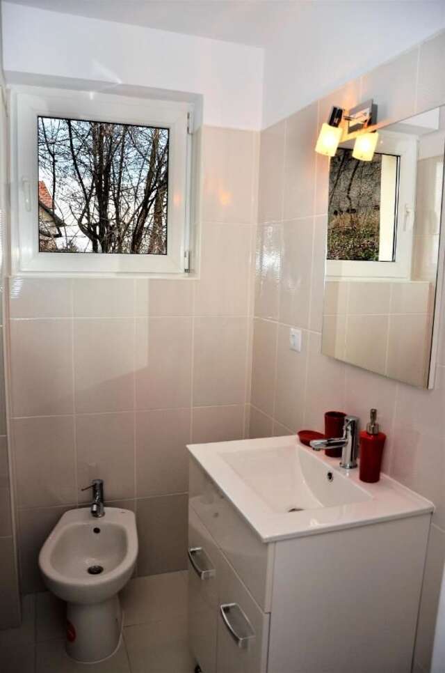 Гостевой дом Vila Alba Брашов-22