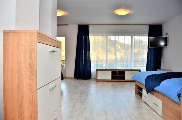 Гостевой дом Vila Alba Брашов-36