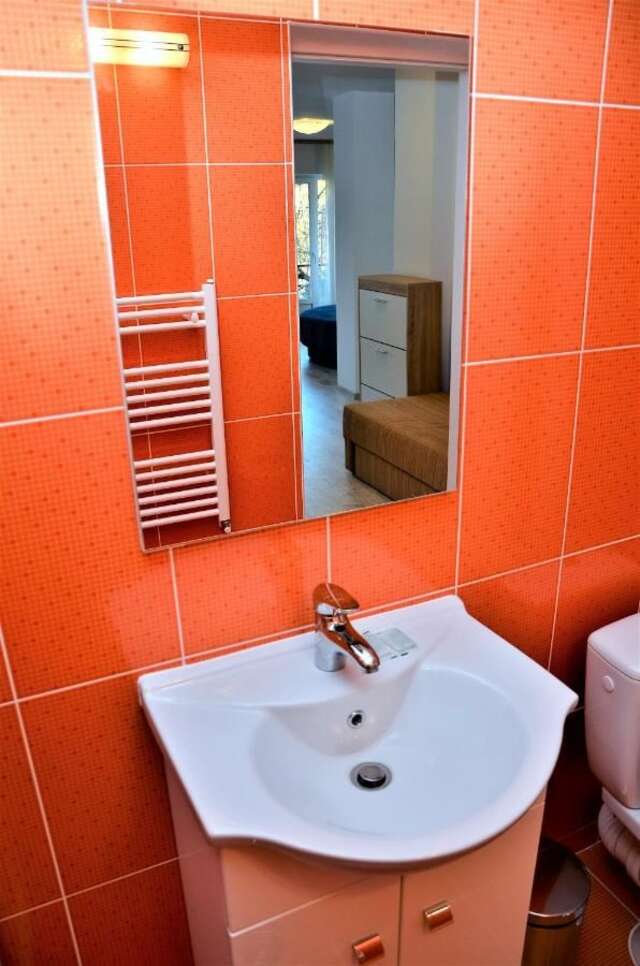 Гостевой дом Vila Alba Брашов-41