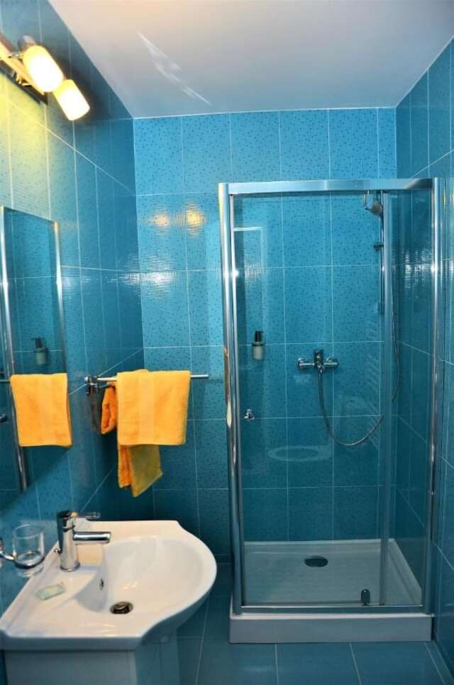 Гостевой дом Vila Alba Брашов-47